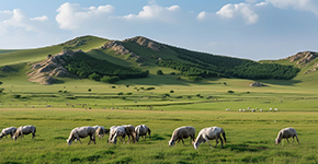 壩上草原+海留圖娛樂(lè)嘉年華+大汗行