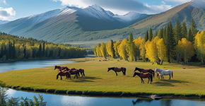 【念念喀納斯-三湖盡享】北疆精華游雙飛8日雙臥