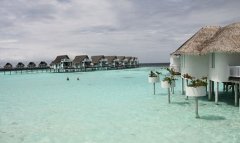 馬爾代夫中央格蘭德Centara Grand4晚