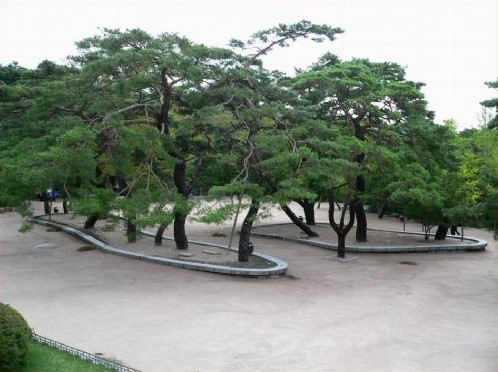 古老名剎—韓國(guó)慶州佛國(guó)寺圖片