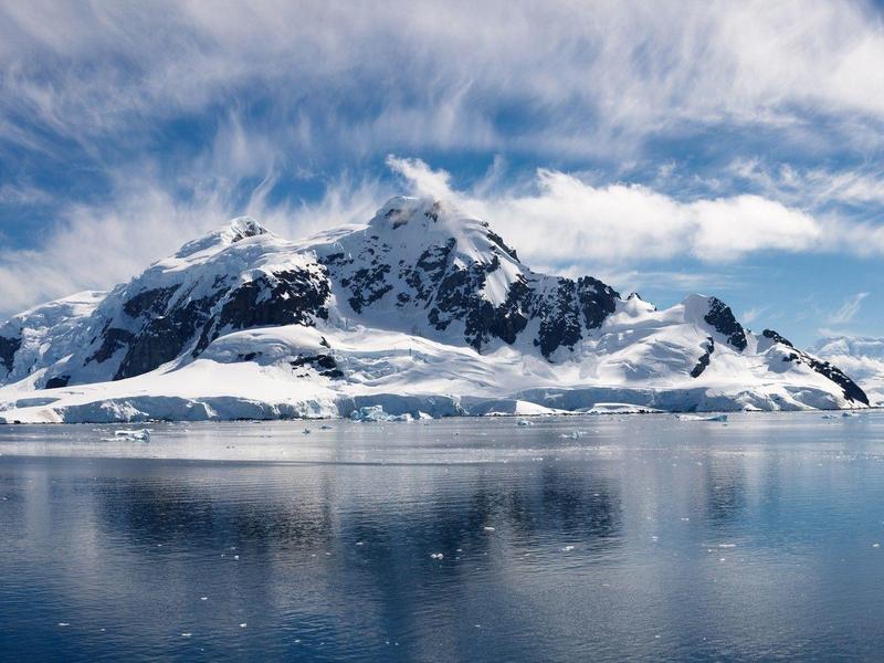 去北極看什么？